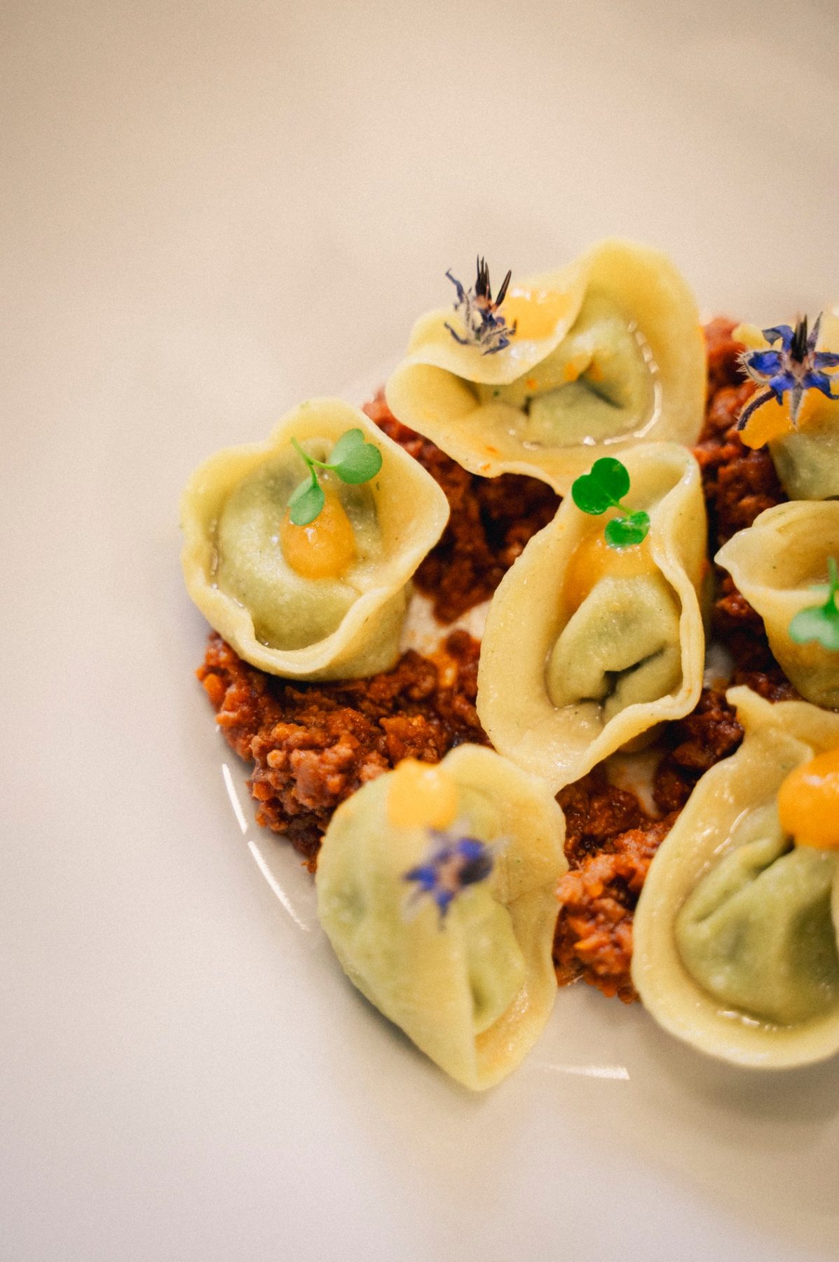 Tortelli fatti in casa